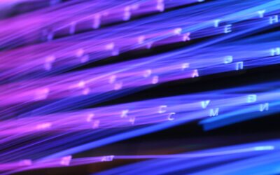 Verlässliche Daten schaffen Transparenz und liefern Entscheidungsgrundlagen